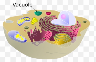 Biological Cell Vacuole - Plant Vs Animal Emoji