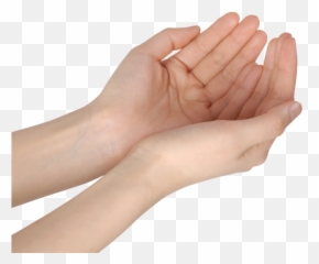 Hand Hold Butterfly Emoji
