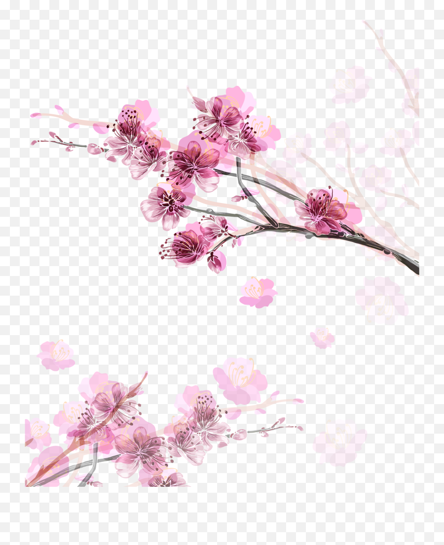 Pink Flower Peach Blossom Cherry - Cherry Blossom Flowers Transparent Emoji,Cherry Blossom Emoticon