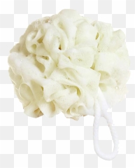 Sponge Bath Png - Luffa Transparent Emoji