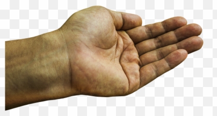 Palm Hand Give - Giving Transparent Emoji