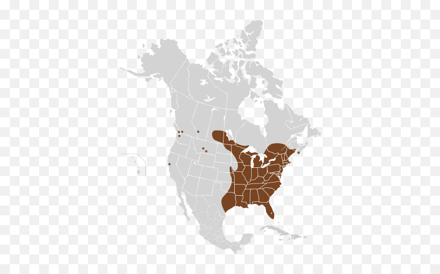 Sciurus Carolinensis Map North America - Canadian Expansion Emoji,Slam Dunk Emoji