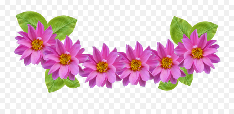 Flower Crown Clipart Tumblr - Flower Crown Clipart Png Emoji,Flower In Hair Emoji