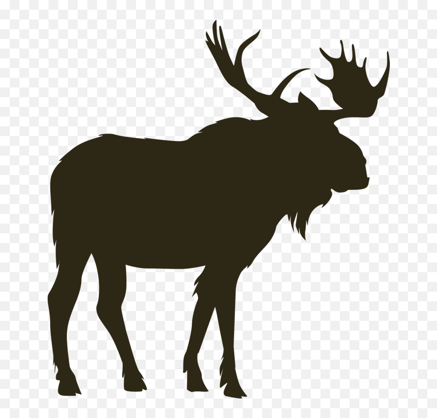 Horns Vector Moose Transparent Png Clipart Free Download - Moose Silhouette Free Emoji,Moose Emoji