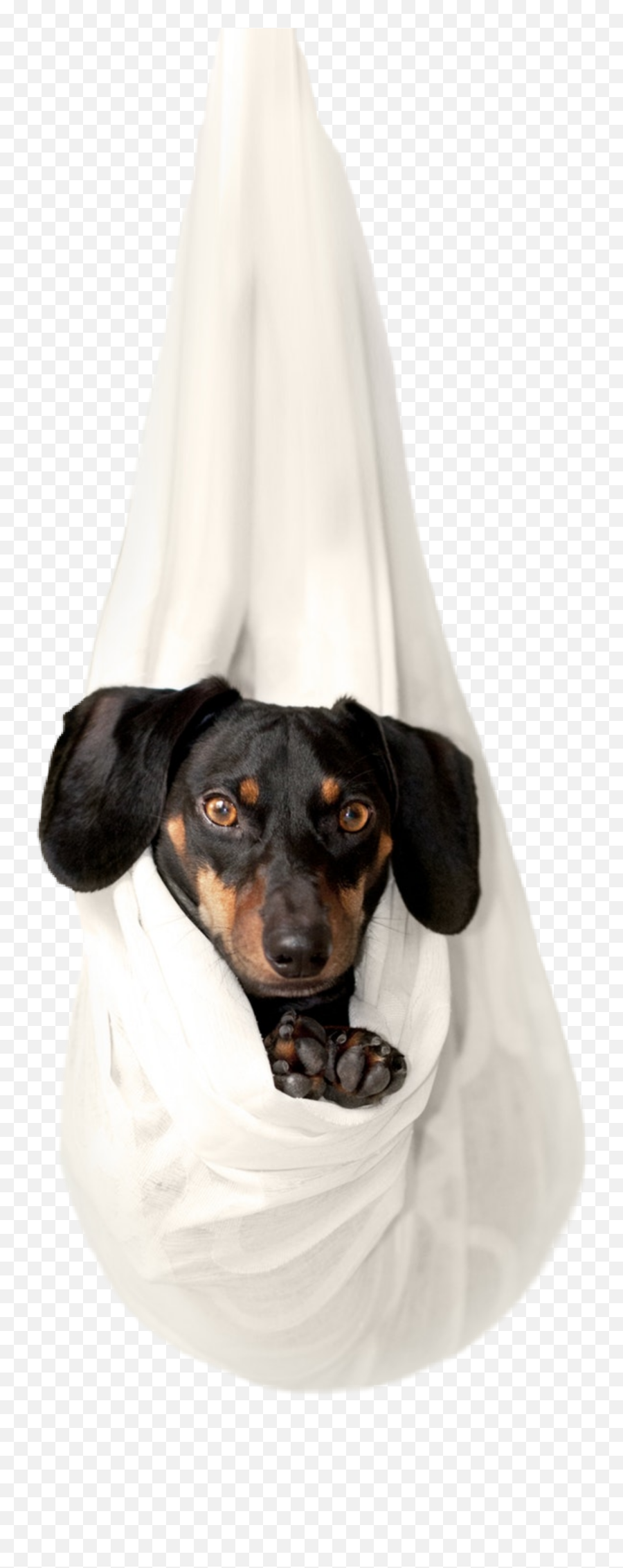 Dachshund Dog Pet Puppy Animal Bag - Funny Dog Emoji,Wiener Dog Emoji