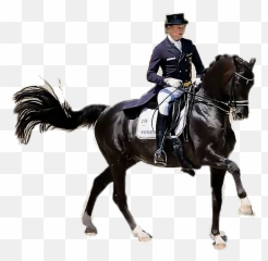 Horse Ride Freetoedit - Teuerstes Pferd Der Welt Totilas Emoji