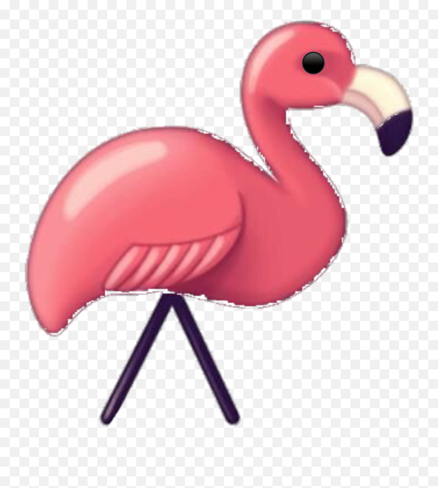 Taymoji Taylorswift Flamingo Freetoedit - Greater Flamingo Emoji,Flamingo Emoji