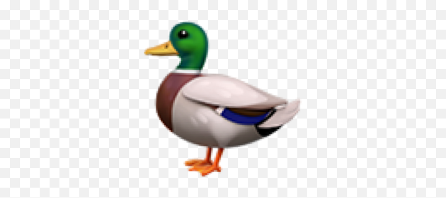 Duck Emoji Freetoedit - Emoji Review Bird,Emoji Duck