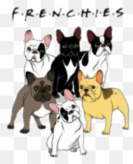 Bulldog Stickers For Whatsapp - Frenchies Shirt Emoji,Bulldog Emoji