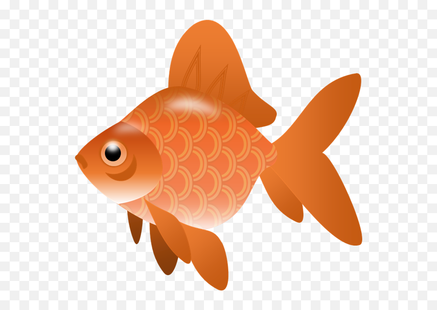 Koi Fish Clipart Transparent - Transparent Background Fish Clipart Emoji,Koi Fish Emoji
