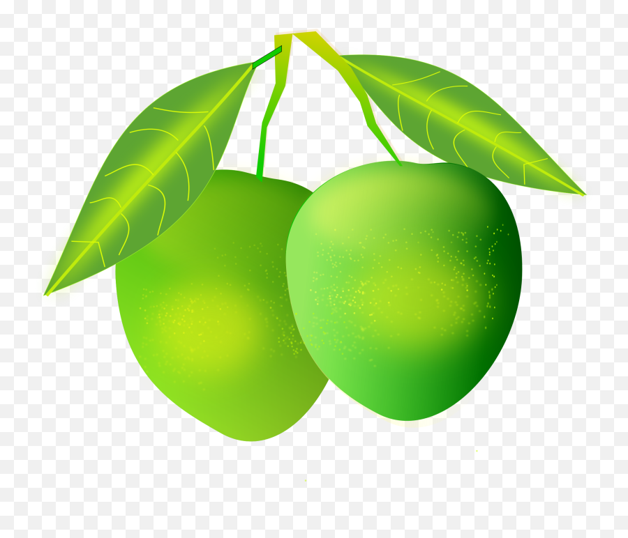 Pin - Green Mango Clipart Png Emoji,Mango Fruit Emoji