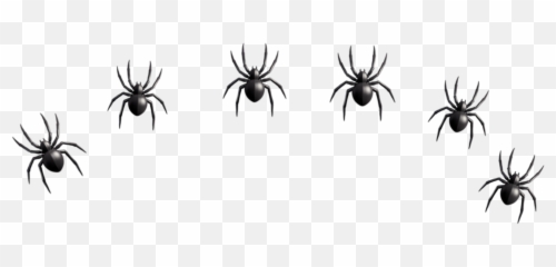 Freetoedit Emoji,Spider Emoji