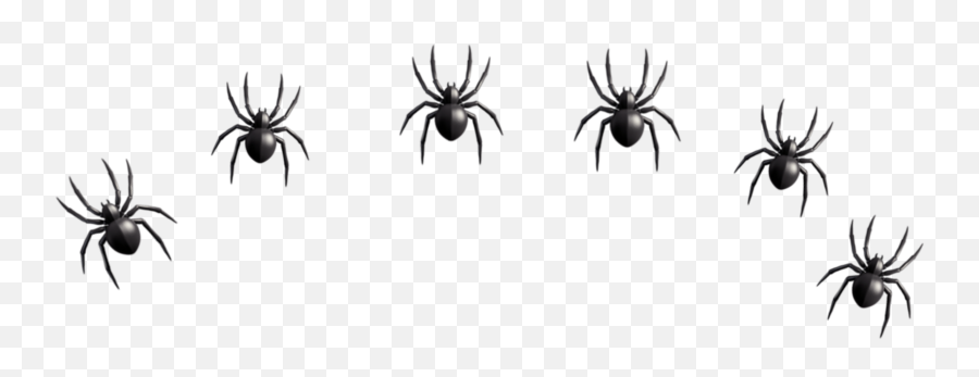 Freetoedit Emoji,Spider Emoji