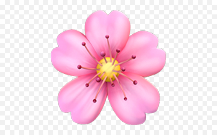 Lucymy - Pink Flower Emoji Png,Flower Emoticon