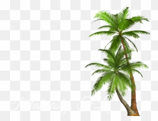 Download Filterjff - Transparent Palm Tree Png Full Size Background Trees Clipart Emoji