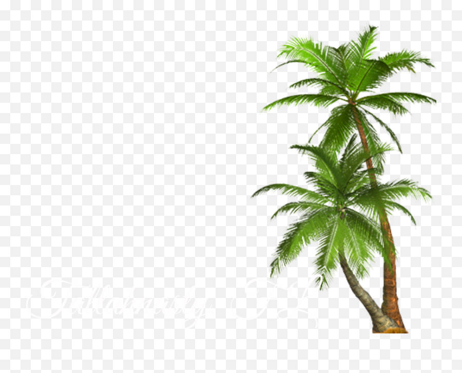 Download Filterjff - Transparent Palm Tree Png Full Size Transparent Background Palm Trees Clipart Emoji,Palm Tree Emoji Transparent