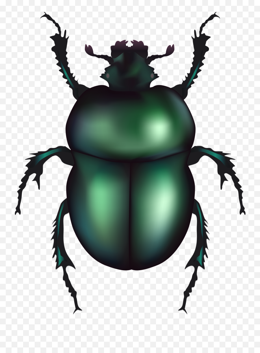 Beetle Free Png Image - Beetle Clipart Emoji,Beetle Emoji