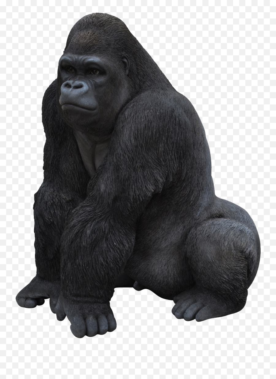 Gorilla - Gorilla Png Emoji,Gorilla Emoji