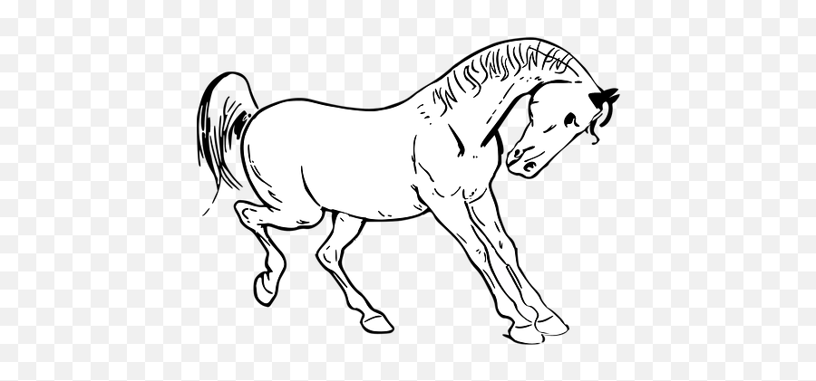 Free Prancing Horse Images - Horse Outline Drawing Png Emoji,Goose Emoji