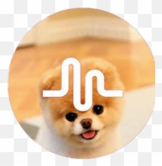 Popular And Trending Jiffpom Stickers Emoji,Jiffpom Emoji
