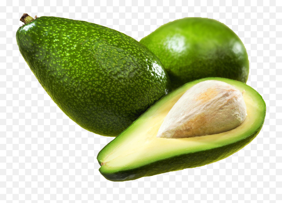 Avocado Fruit Icon - Avocado Png Download 20521702 Free Avocado Emoji,Avacado Emoji