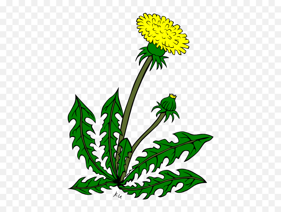 Weeds Clipart - Clip Art Library Dandelion Clip Art Emoji,Weed Plant Emoji