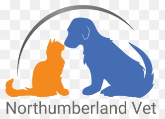 Veterinarian Clipart Large Animal Vet - Illustration Emoji,Tarheel Emoji