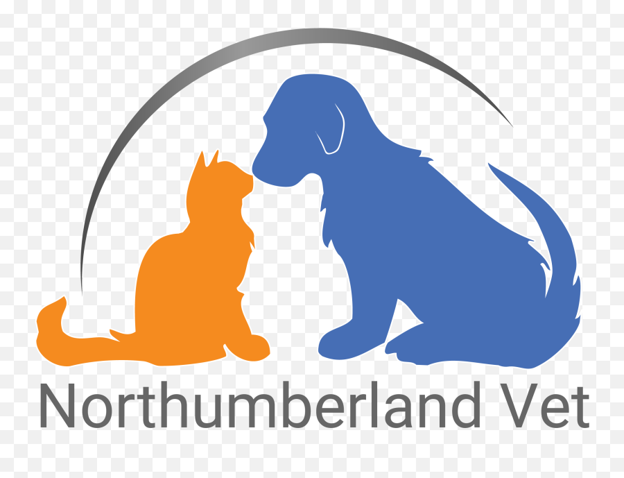 Veterinarian Clipart Large Animal Vet - Illustration Emoji,Tarheel Emoji