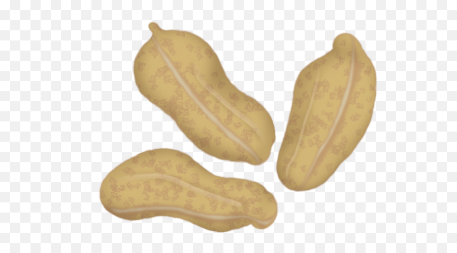 Peanuts Shell Food Nut Brown Three Mydrawing Drawnwithp - Gourd Emoji,Peanut Emoji
