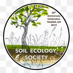2019 Meeting - Tree Emoji,World And Worm Emoji