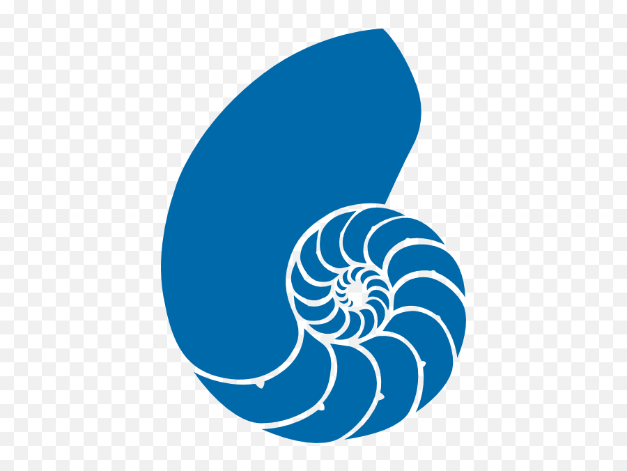 Blue Clipart Seashell Blue Seashell - Blue Seashell Clip Art Emoji,Seashell Emoji