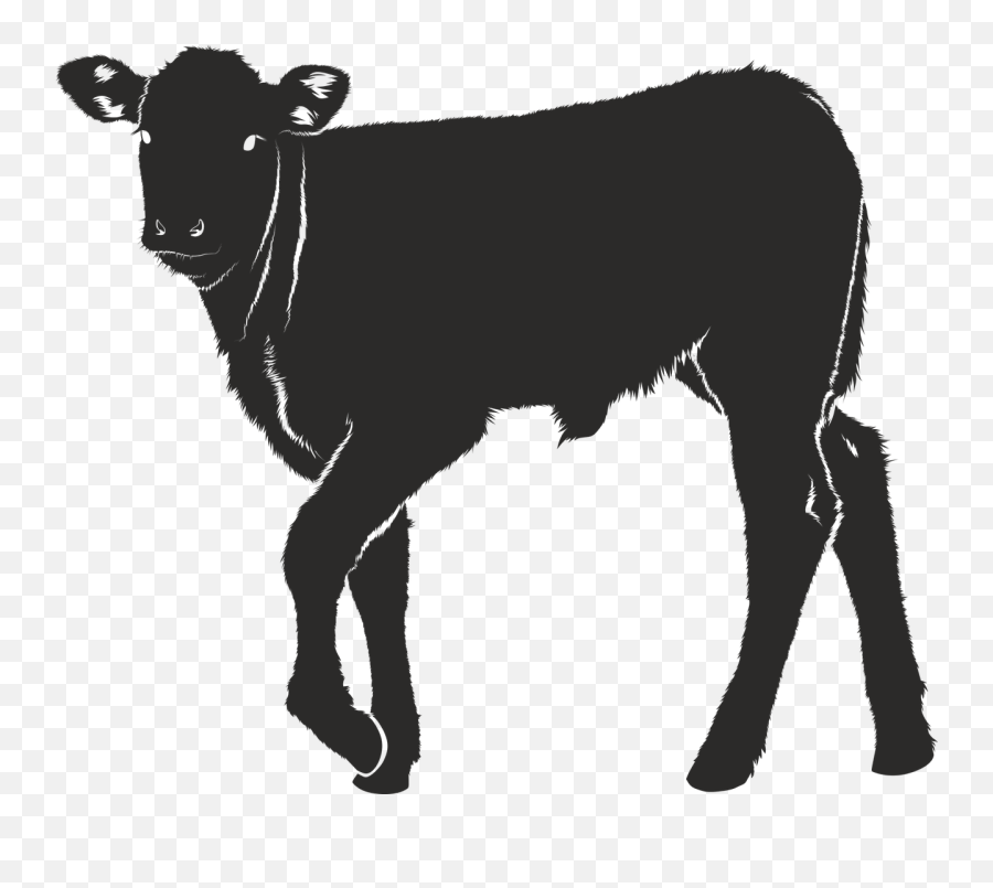 Veal Silhouette Black Isolated Form Emoji,Cow Chop Emoji