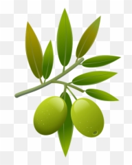 Illustration Olives Oil - Emoji