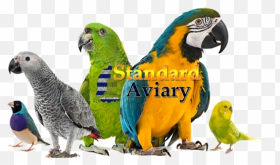 Standard Aviary - Macaw Next To Budgie Emoji