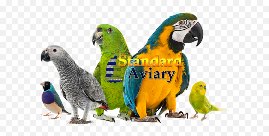 Standard Aviary - Macaw Next To Budgie Emoji,Parrot Emoticon