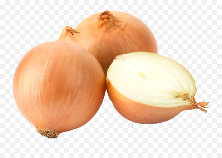 Onion Png Hd Background - Transparent Background Onions Clipart Emoji,Onion Emoji