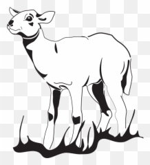 Free Lamb Sheep Illustrations - Drawing Emoji,Eye Roll Emoji