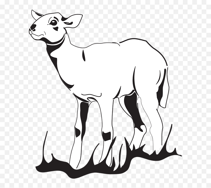 Free Lamb Sheep Illustrations - Drawing Emoji,Eye Roll Emoji
