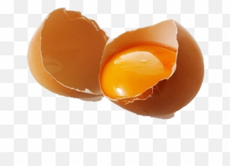 Egg Icon - Broken Png Emoji