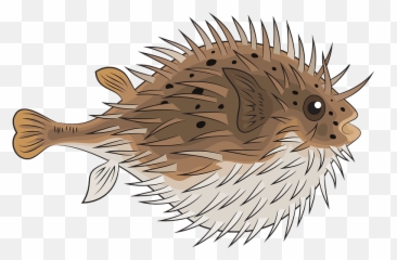 Blowfish Clipart - Ugly Emoji,Blowfish Emoji