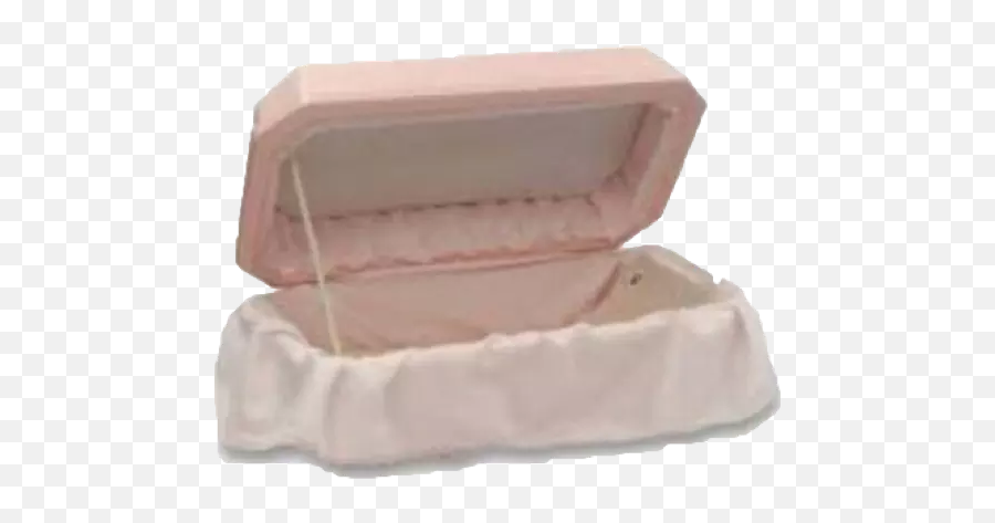 Casket Coffin Dead Goth Pink Baby - Coffin Emoji,Casket Emoji