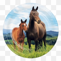 Balloon Agencies - Horse And Pony Emoji