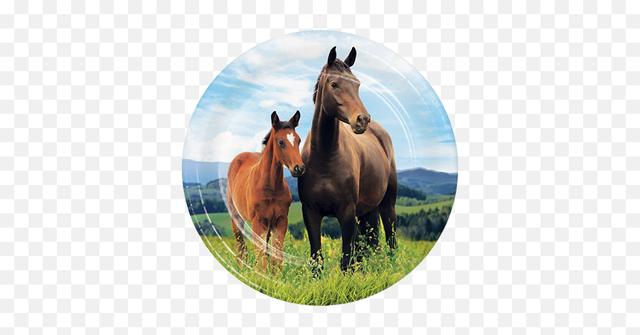 Balloon Agencies - Horse And Pony Emoji,Horse Emoticons