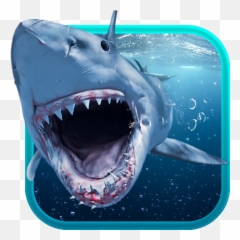 Shark Attack Animated Keyboard Live - Shark Attack Animated Emoji,Shark Emoji Android