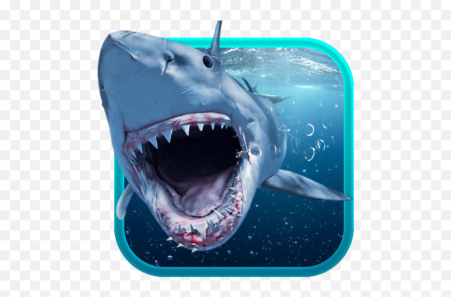 Shark Attack Animated Keyboard Live - Shark Attack Animated Emoji,Shark Emoji Android
