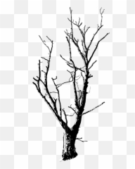 Black Forest Illustrations - Horror Tree Silhouette Png Emoji