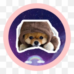 Jiffpom - Companion Dog Emoji,Jiffpom Emoji