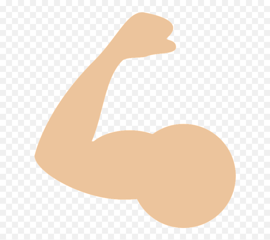 Muscle Clipart No Background - Muscles Icon Png Emoji,Muscles Emoji
