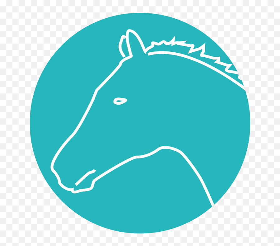 Horseback Riding - Microbiology Clipart Transparent Png Illustration Emoji,Horse Riding Emoji