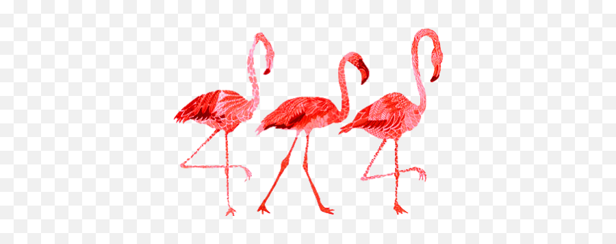 Tumblr Whatsapp Emoji Emoticon Png Transparente Transpa - Flamingos Png,Flamingo Emoji